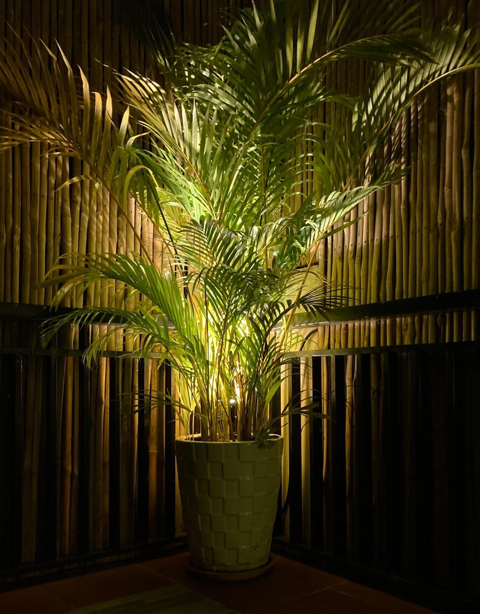 Lotus Haven Hotel Siem Reap